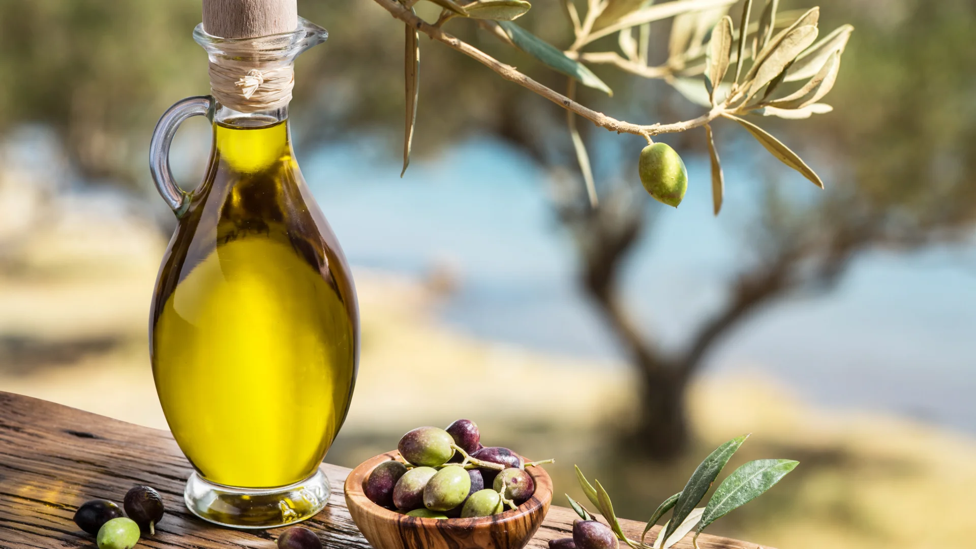 Tratamiento de fisioterapia y prevención del dolor lumbar en la recogida de la aceituna con Miguel Peña en Granada